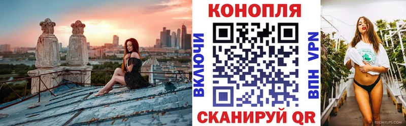 МАРИХУАНА ГИДРОПОН  Глазов 